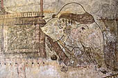 Bagan Myanmar. Sulamani temple. The white king elephant in the doorway chambers. 